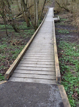 Boardwalk with edge protection crosses the creek